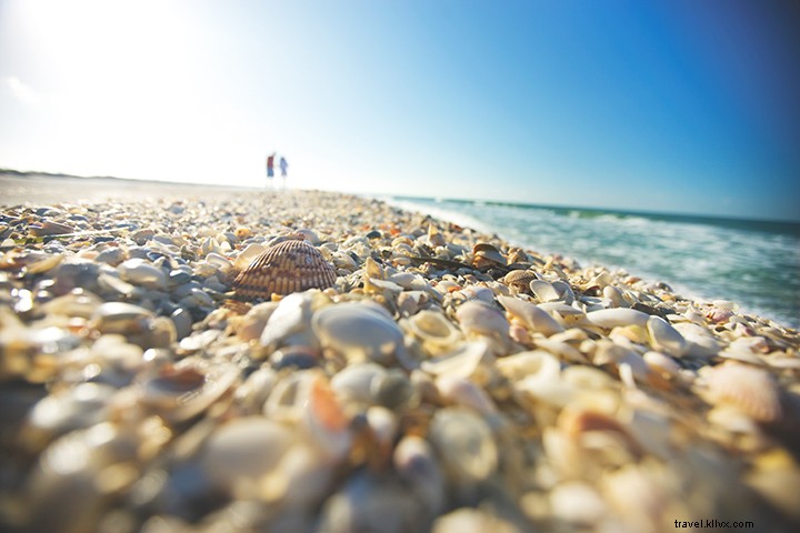 12 Compelling Reasons to Make Fort Myers & Sanibel Your Summer Family Vacation Destination